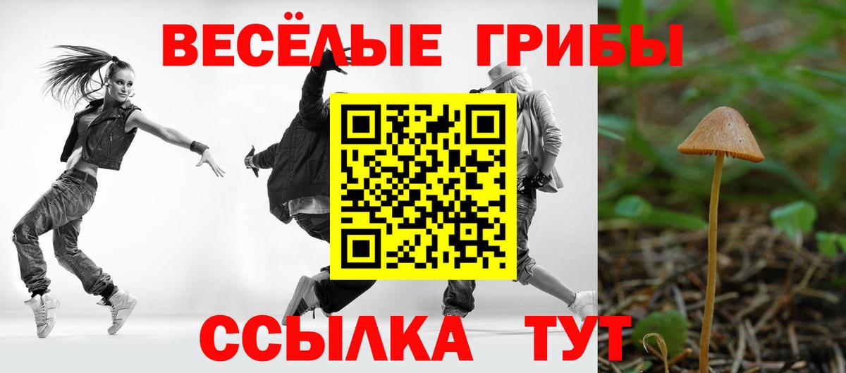 Галлюциногенные грибы прущие грибы  Вход с VPN  Галлюциногенные грибы GOLDEN TEACHER  Таганрог 
